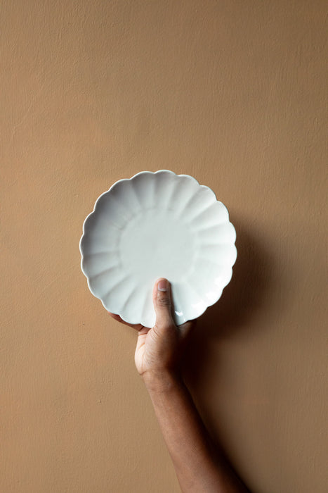 Scallop Ivory 8" Ceramic Plate
