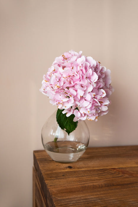 Large Bulb Glass Vase