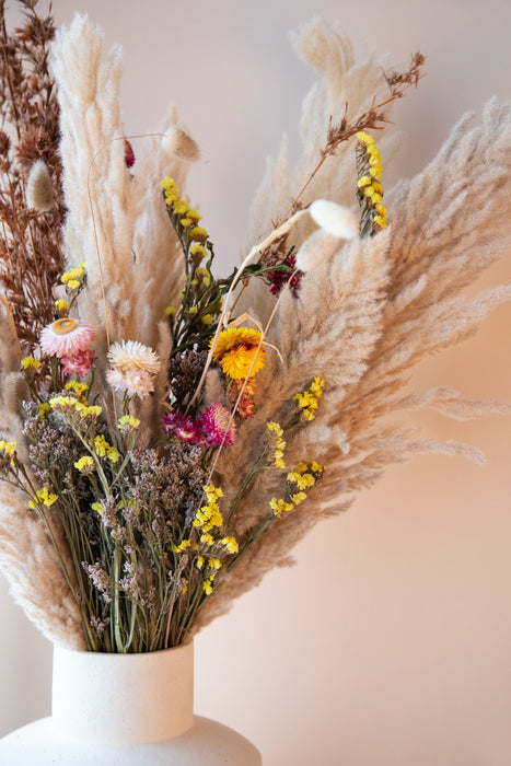 Dry Flowers - Assorted Bundle 5
